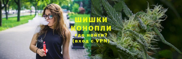 гидра Лиски