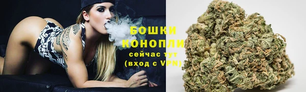 ПСИЛОЦИБИНОВЫЕ ГРИБЫ Липки