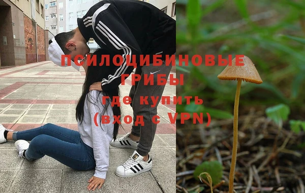 гидра Лихославль
