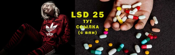 ПСИЛОЦИБИНОВЫЕ ГРИБЫ Липки