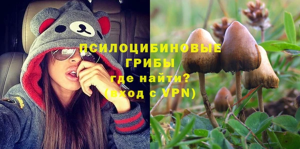 гидра Лихославль