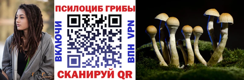 Псилоцибиновые грибы GOLDEN TEACHER  omg маркетплейс  Эртиль  цены наркотик 